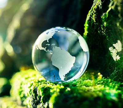Ede’s Removals London Environmental 1555284593 Ede's Removals London Environmental 1555284593